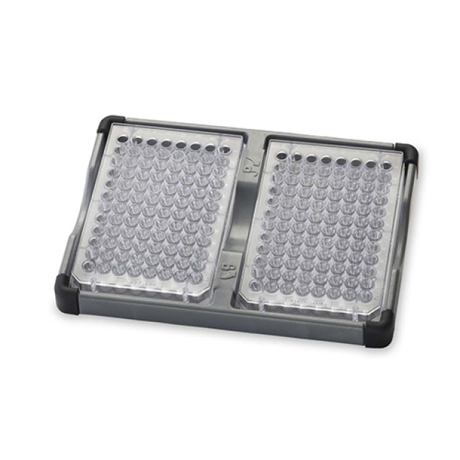 OHAUS (30400213) - uchwyt na mikropłytkę (podwójny)  Zdjęcie - 1