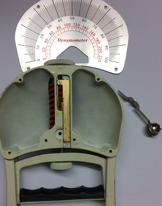 dynamometr medyczny ręczny mechaniczny budowa